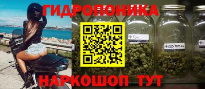 Альфа ПВП Заволжье