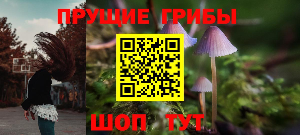 Вологда  Галлюциногенные грибы мухоморы  Псилоцибиновые грибы Psilocybe  Вход с VPN 